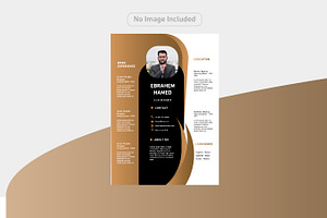 Luxury and simple CV