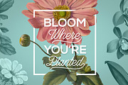 Vintage Illustrations of Flowers, an Illustration by Graphic Goods (Thumbnail 9 of 9)