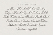 Ms. Chelsea - Chic Calligraphy Font, a Script Font by Subectype Studio (Thumbnail 7 of 9)