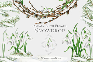 Snowdrop Birth Month Flower Clipart