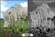 Solarized IR Inspired profiles LUTs, a Plug-in Add-On by Raztrend (Thumbnail 7 of 30)