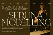 Merilo Elegant Serif Font, a Serif Font by Graphicxell (Thumbnail 5 of 8)