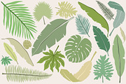 Dinosauria - Clipart Collection, an Object Graphic by Alina Sh (Thumbnail 3 of 9)