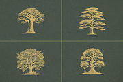 16 Vintage Vector Trees Collection, an Illustration by elliazidi.designs (Thumbnail 5 of 5)