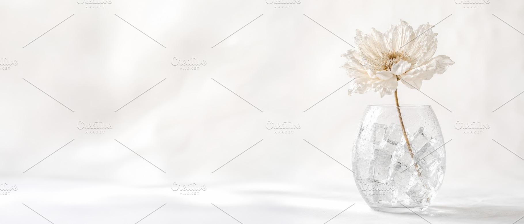 Delicate white flower in vase with i, a Photo by Dvoevnore photos