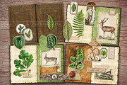 Forest Scrapbooking Kit, an Animal Illustration by Secret Helper (Thumbnail 2 of 9)