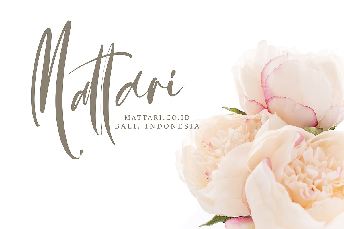 Qettira Black Friday, a Script Font by pineungtype (Photo 6 of 8)