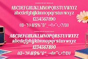 Gently Retro - Family Retro Serif, a Serif Font by Say Studio (Thumbnail 10 of 10)
