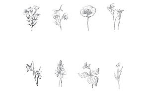 Floral Wild Flower Set 1 Procreate