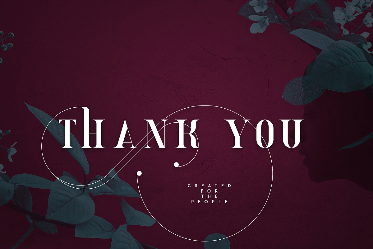 VENDEE - Serif font, a Serif Font by VP Fonts (Photo 9 of 9)