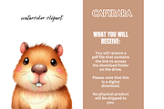 Cute Capybara PNG 35Funny Clipart, an Animal Illustration by VM PARTYS  BY TAIRUMA (Thumbnail 10 of 10)