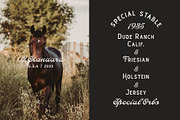 AT Alistair Font Duo, a Font by Any-Type® Foundry (Thumbnail 3 of 12)