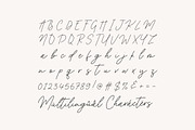 Acoustica Monoline Handwritten Font, a Handwritten Font by Balpirick Studio (Thumbnail 6 of 7)