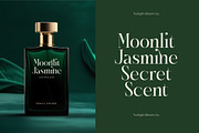 Karosa Modern Serif Display Font, a Serif Font by timelesstype.co (Thumbnail 11 of 20)