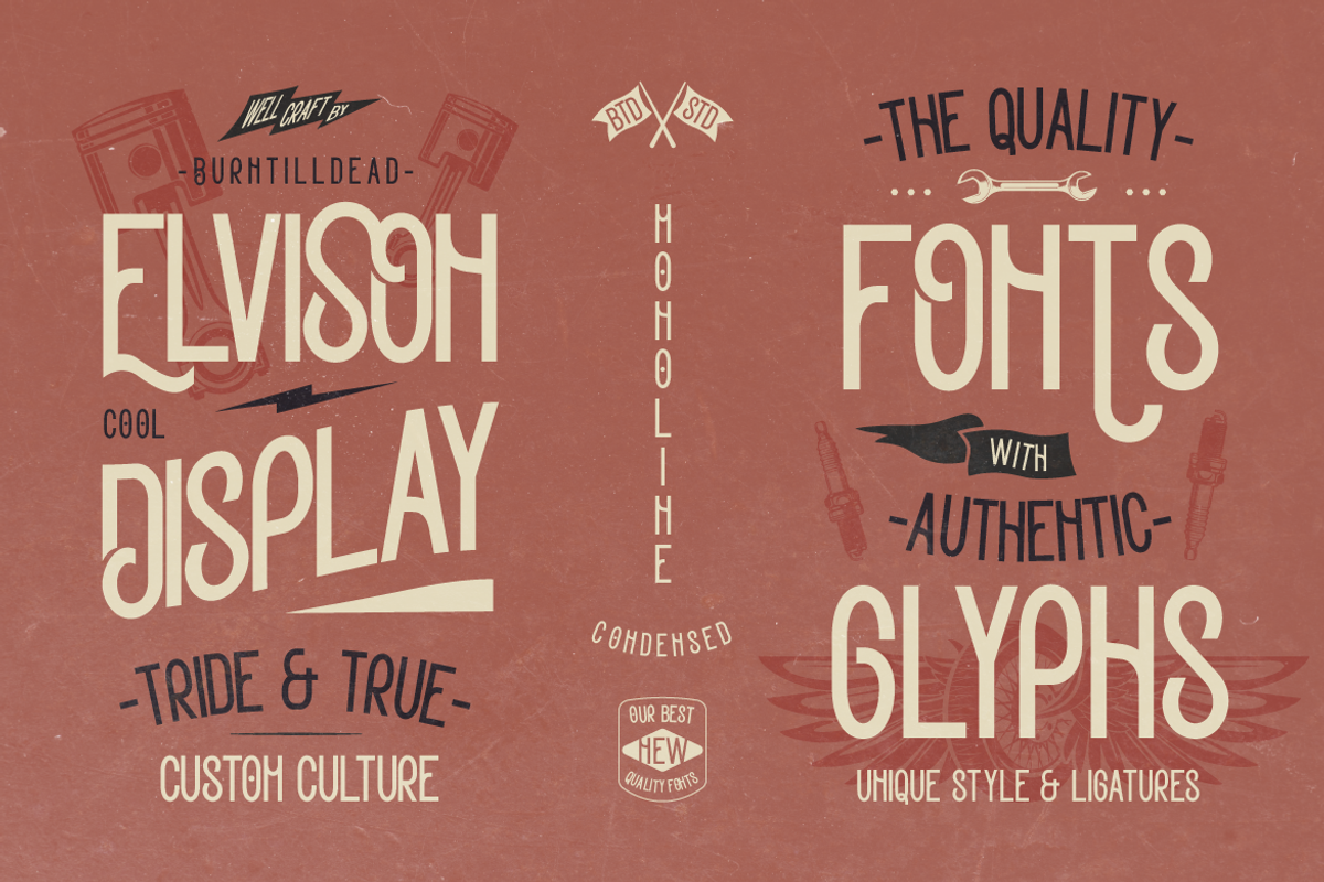 Elvison, a Sans Serif Font by Burntilldead (Photo 4 of 12)