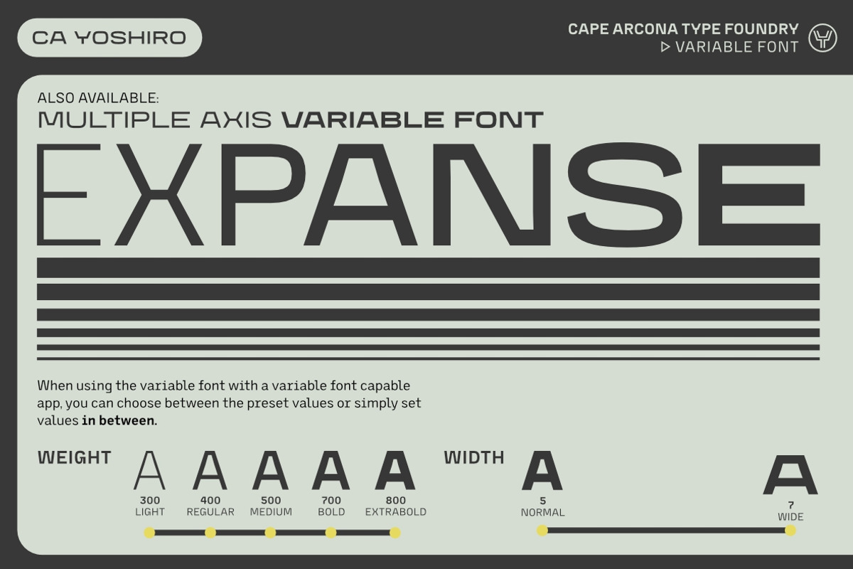CA Yoshiro, a Sans Serif Font by Cape Arcona Type Foundry (Photo 4 of 15)
