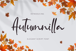 Autumnilla - Elegant Script Font