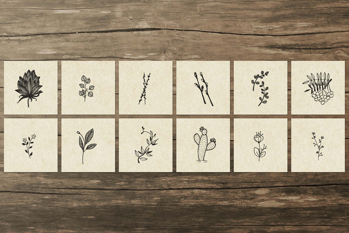 150 Hand Drawn Elements -Nature III-, an Animal Illustration by Michael Rayback Design (Photo 8 of 15)