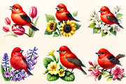 Spring Scarlet Tanager Bird Clipart, a Work Illustration by OK Design (Thumbnail 3 of 4)