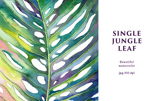 Single Jungle Leaf