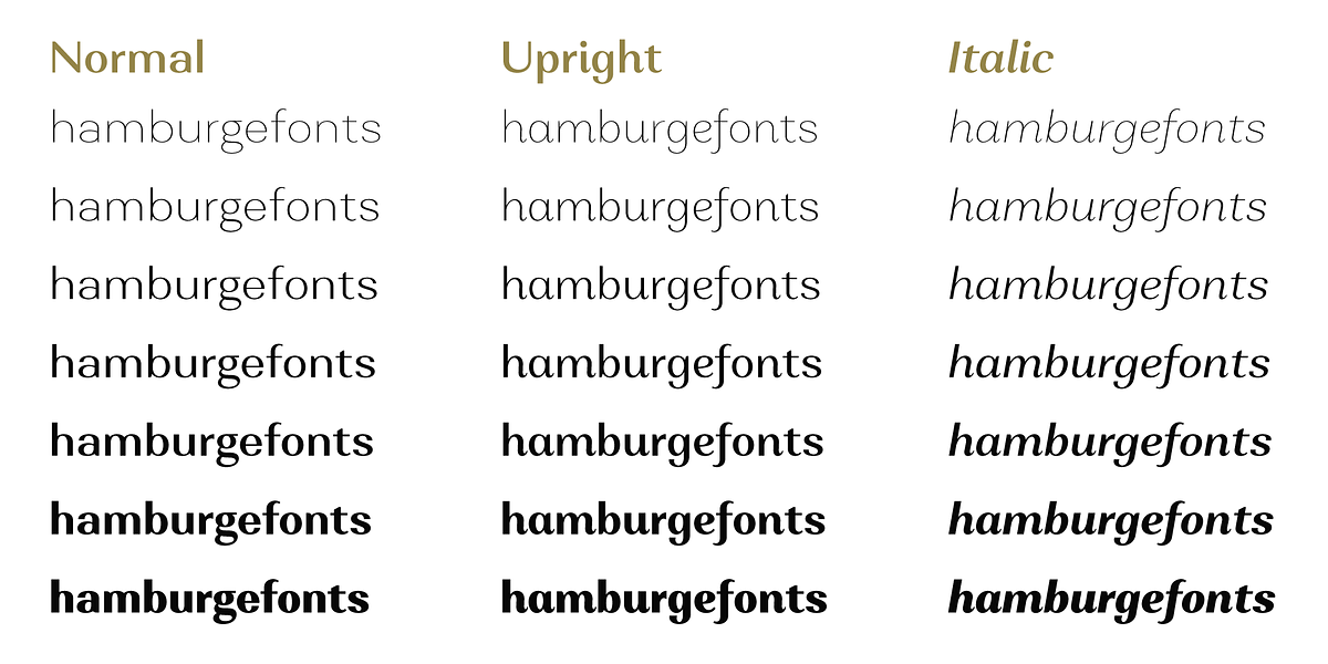 Alethia Next, a Sans Serif Font by Pepper Type (Photo 2 of 14)