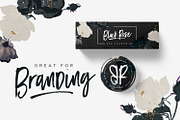 Black Diamond Brush Font, a Script Font by Sam Parrett (Thumbnail 3 of 9)