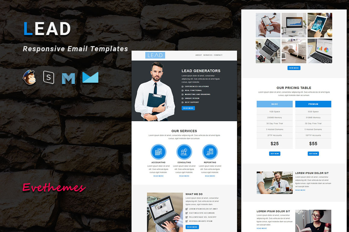 LEAD - Responsive Email Template, an Email Template by evethemes (Photo 1 of 3)