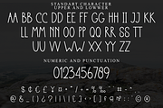 Salt Shake, a Sans Serif Font by FreshTypeINK (Thumbnail 3 of 8)