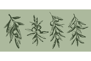 Olive branches set on green, a Food Illustration by art PVP - market