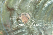 Siren Sheen, a Texture Graphic by Lilithcollageart (Thumbnail 2 of 13)