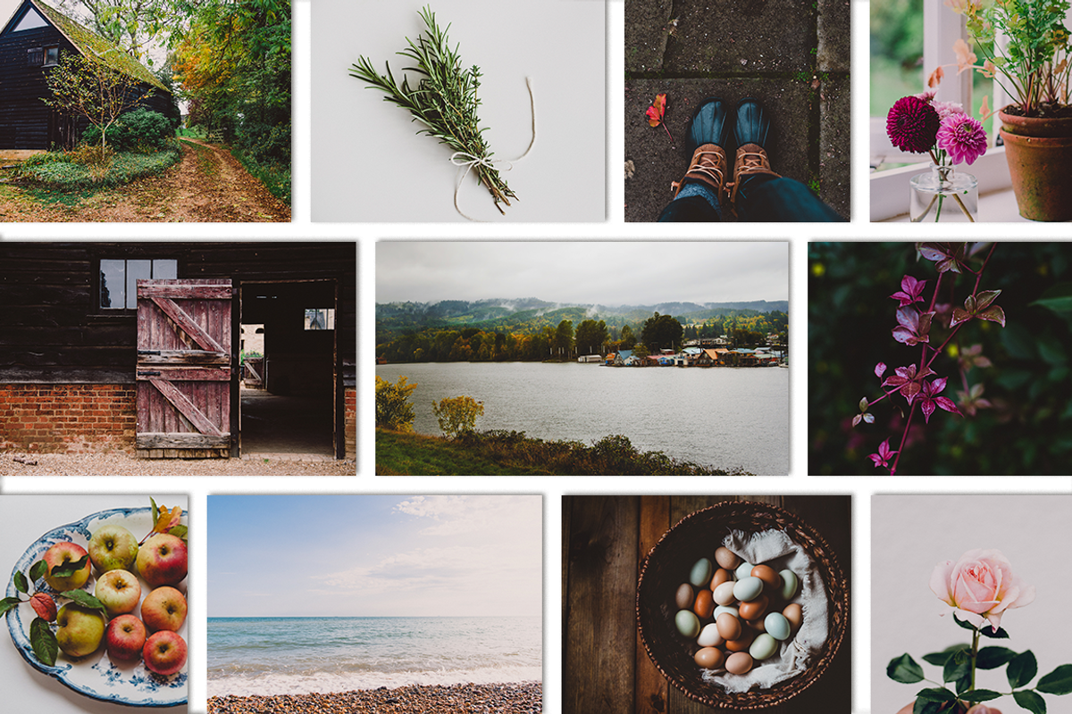 Fall-Inspired Photos & Quote Bundle, a Nature Photo by Crystal Wilkerson Designs (Photo 8 of 9)