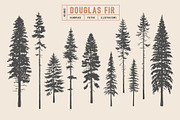 Woodland Tree Set | Illustrations, an Illustration by Max Lockwood (Thumbnail 3 of 6)