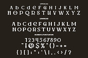Werd - Modern Stylish Serif Font, a Serif Font by PutraCetol Studio (Thumbnail 8 of 13)