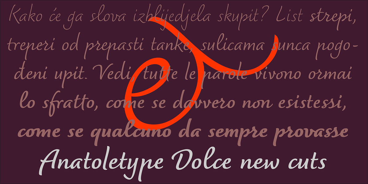 Dolce, a Handwritten Font by Anatoletype (Photo 2 of 3)