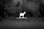 Minimalist Goat Farm Logo, a Branding & Logo Template by Luxury Logos (Thumbnail 2 of 4)