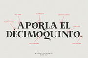 Aporla - Elegant Slab Serif, a Slab Serif Font by Baleee (Thumbnail 2 of 18)