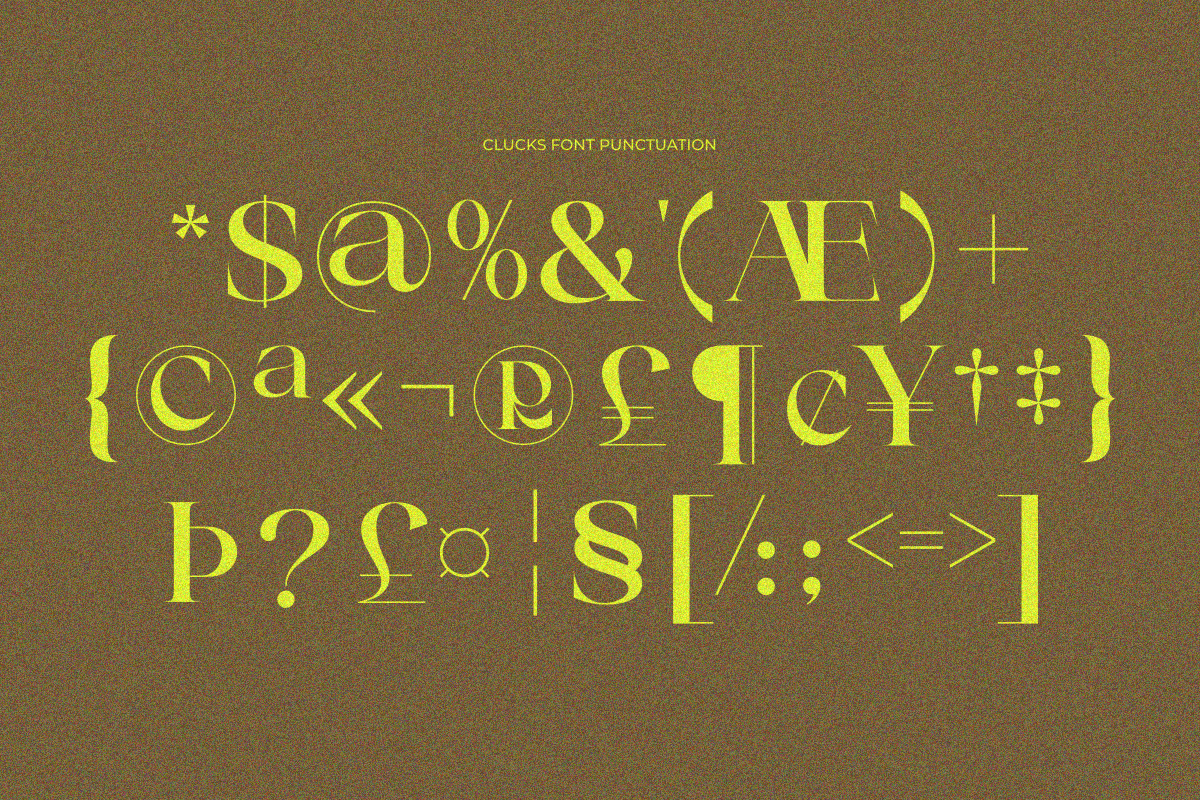 Clucks, a Serif Font by zaaintype (Photo 10 of 10)