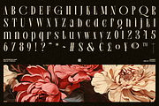 Chelion, a Serif Font by Eotype Studio (Thumbnail 4 of 9)