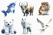 Arctic Animals Clipart, an Illustration by Craft Nest (Thumbnail 4 of 6)