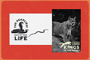 Bronco Font Collection + Extras, a Serif Font by Misha Sova (Thumbnail 4 of 10)