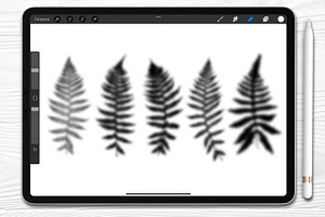 Fern. Procreate Brush Set