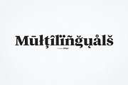 Cysan - Modern Serif, a Serif Font by Hindia Studio (Thumbnail 6 of 10)
