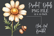 Watercolor Daisy Autumn Clipart, an Illustration by Rose Art (Thumbnail 5 of 7)