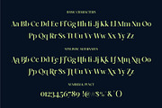 Rinoch | Serif Typeface, a Serif Font by Nowpe Studio (Thumbnail 3 of 6)