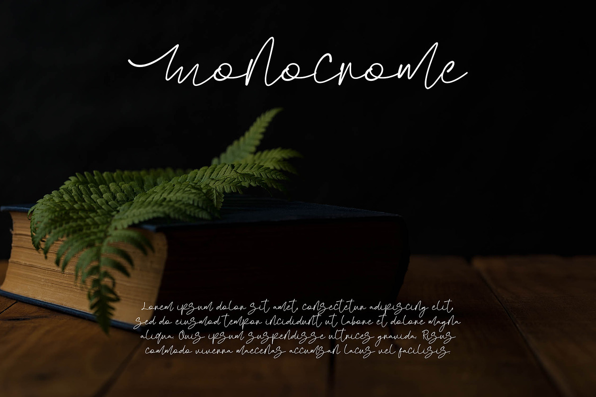 Fanita Pricia - Elegant Script Font, a Script Font by NTC Graphic (Photo 7 of 9)