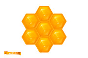 Bee, hornet and wasp. Honey drops, an Icon by Allevinatis Studio (Thumbnail 6 of 6)