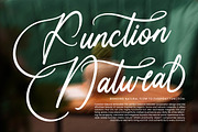 Uniquely Vifanite Bold Calligraphy, a Script Font by Letterena Studios Script (Thumbnail 14 of 20)