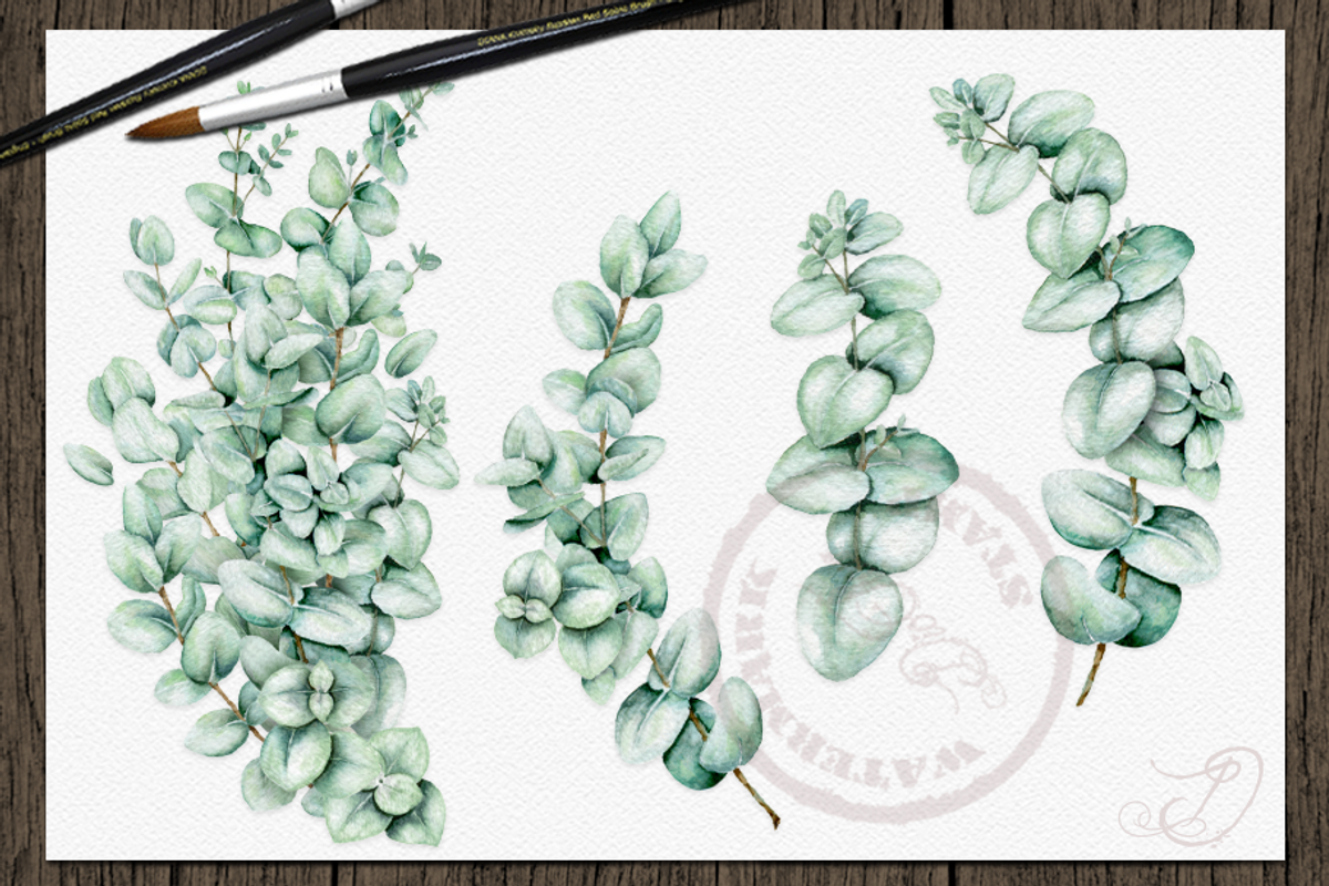 Baby Eucalyptus Illustration, a Decorative Illustration by DioFlow (Photo 5 of 6)
