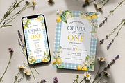 Main Squeeze Is One Birthday Bundle, a Templates & Theme by Digital_Mind (Thumbnail 8 of 8)