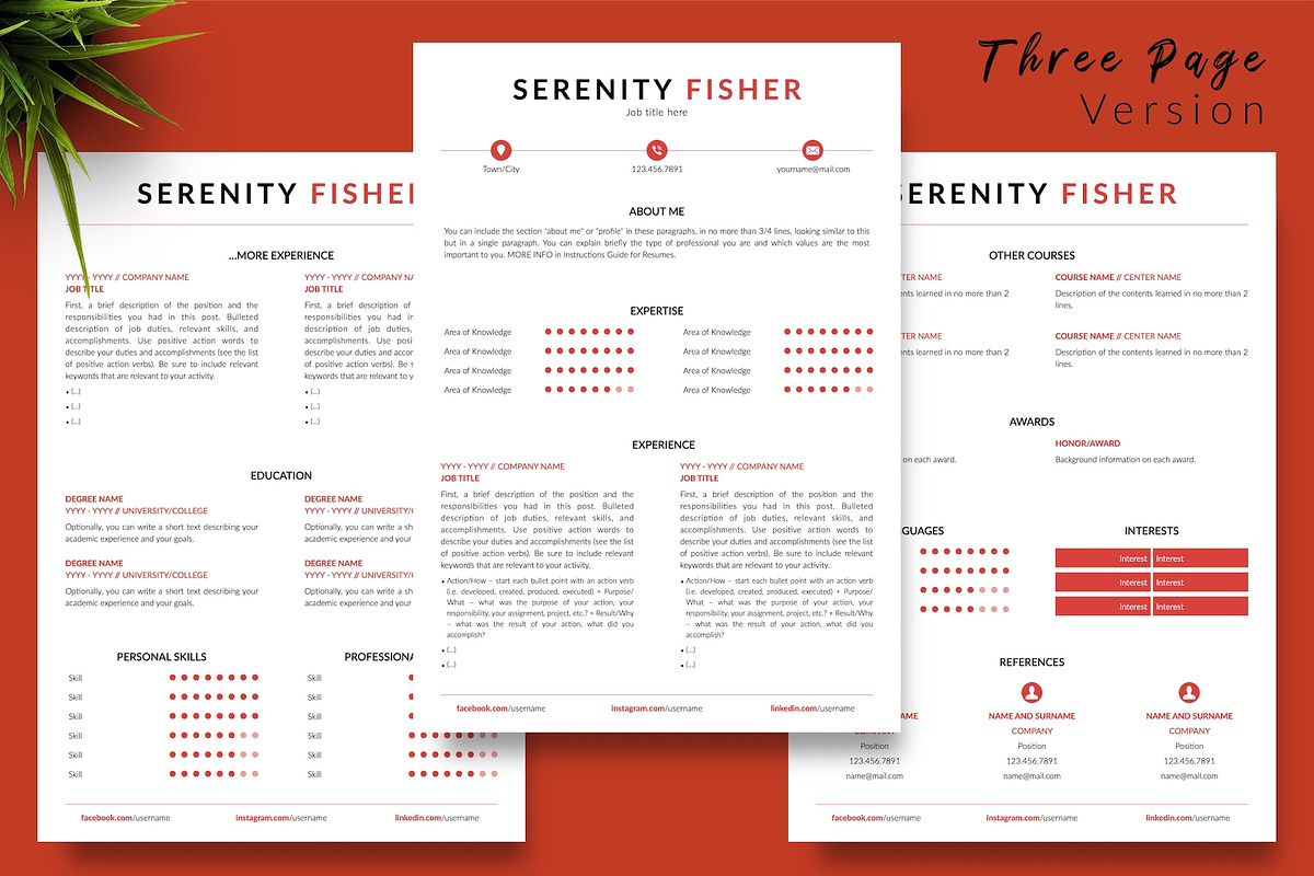 Modern Resume Bundle / CV - Serenity, a Resume Template by Templates Design Co. (Photo 4 of 17)